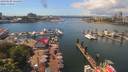 ./images/victoria/wharf/20190608/wharf20190608_135449.jpg