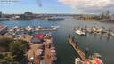 ./images/victoria/wharf/20190608/wharf20190608_140950.jpg
