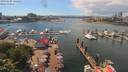 ./images/victoria/wharf/20190608/wharf20190608_142451.jpg