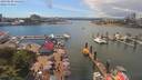 ./images/victoria/wharf/20190608/wharf20190608_144452.jpg