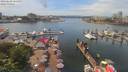 ./images/victoria/wharf/20190609/wharf20190609_141457.jpg