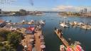 ./images/victoria/wharf/20190610/wharf20190610_132456.jpg