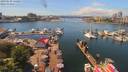 ./images/victoria/wharf/20190610/wharf20190610_132957.jpg