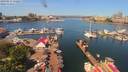 ./images/victoria/wharf/20190611/wharf20190611_112457.jpg