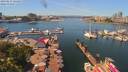 ./images/victoria/wharf/20190611/wharf20190611_124451.jpg