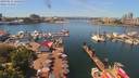 ./images/victoria/wharf/20190611/wharf20190611_125951.jpg