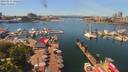 ./images/victoria/wharf/20190611/wharf20190611_131452.jpg