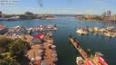 ./images/victoria/wharf/20190611/wharf20190611_132953.jpg