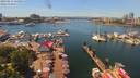 ./images/victoria/wharf/20190611/wharf20190611_133953.jpg