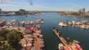 ./images/victoria/wharf/20190611/wharf20190611_135953.jpg
