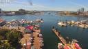 ./images/victoria/wharf/20190611/wharf20190611_140453.jpg