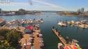 ./images/victoria/wharf/20190611/wharf20190611_142954.jpg