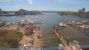 ./images/victoria/wharf/20190611/wharf20190611_160627.jpg