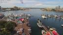 ./images/victoria/wharf/20190612/wharf20190612_122951.jpg