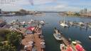 ./images/victoria/wharf/20190612/wharf20190612_123952.jpg