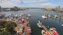 ./images/victoria/wharf/20190612/wharf20190612_125453.jpg