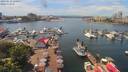 ./images/victoria/wharf/20190612/wharf20190612_130953.jpg