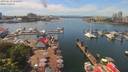./images/victoria/wharf/20190612/wharf20190612_135955.jpg