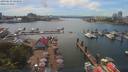 ./images/victoria/wharf/20190612/wharf20190612_144457.jpg
