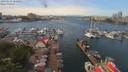 ./images/victoria/wharf/20190613/wharf20190613_122955.jpg