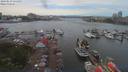 ./images/victoria/wharf/20190613/wharf20190613_134958.jpg