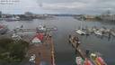 ./images/victoria/wharf/20190614/wharf20190614_112950.jpg