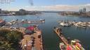./images/victoria/wharf/20190614/wharf20190614_144450.jpg