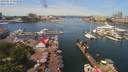 ./images/victoria/wharf/20190616/wharf20190616_112957.jpg
