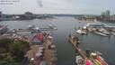 ./images/victoria/wharf/20190616/wharf20190616_141455.jpg