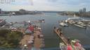 ./images/victoria/wharf/20190616/wharf20190616_151458.jpg