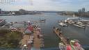 ./images/victoria/wharf/20190616/wharf20190616_151958.jpg
