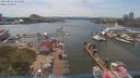 ./images/victoria/wharf/20190616/wharf20190616_152959.jpg