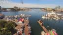 ./images/victoria/wharf/20190617/wharf20190617_114456.jpg