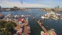 ./images/victoria/wharf/20190617/wharf20190617_120958.jpg