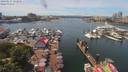 ./images/victoria/wharf/20190617/wharf20190617_130951.jpg