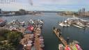 ./images/victoria/wharf/20190617/wharf20190617_131451.jpg