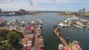 ./images/victoria/wharf/20190617/wharf20190617_131951.jpg