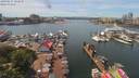 ./images/victoria/wharf/20190617/wharf20190617_132951.jpg