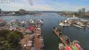 ./images/victoria/wharf/20190617/wharf20190617_141954.jpg