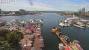 ./images/victoria/wharf/20190617/wharf20190617_142954.jpg