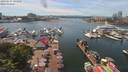 ./images/victoria/wharf/20190617/wharf20190617_143955.jpg