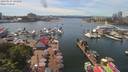./images/victoria/wharf/20190617/wharf20190617_144455.jpg
