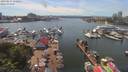 ./images/victoria/wharf/20190617/wharf20190617_145956.jpg