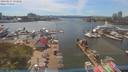 ./images/victoria/wharf/20190617/wharf20190617_153958.jpg