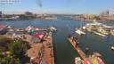 ./images/victoria/wharf/20190618/wharf20190618_124958.jpg
