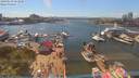 ./images/victoria/wharf/20190618/wharf20190618_151454.jpg