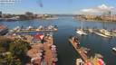 ./images/victoria/wharf/20190620/wharf20190620_122951.jpg