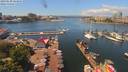 ./images/victoria/wharf/20190620/wharf20190620_123952.jpg