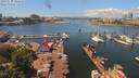 ./images/victoria/wharf/20190620/wharf20190620_124952.jpg