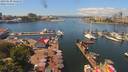 ./images/victoria/wharf/20190620/wharf20190620_125452.jpg
